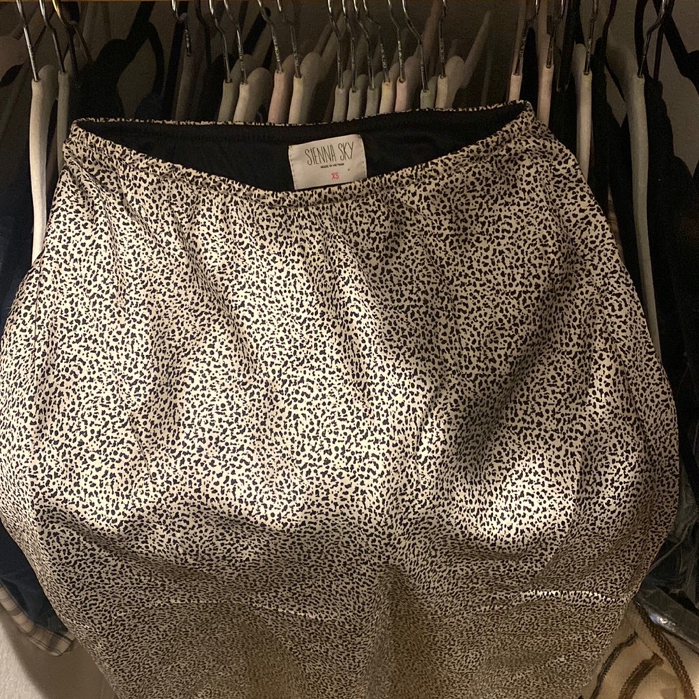Silk Skirt